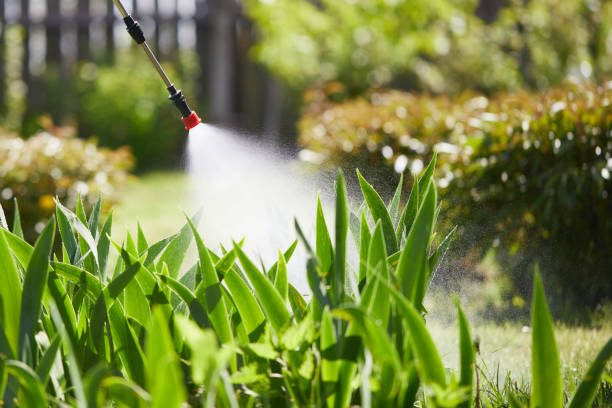 24/7 Emergency Fumigation Services experts in Effort, PA