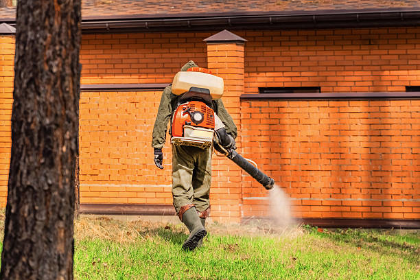 Top rated local Fumigation Services specialists in Effort, PA